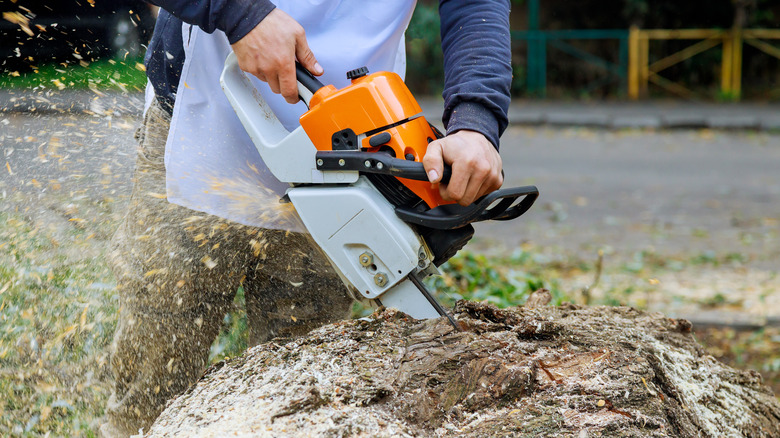 Cutting away greenery