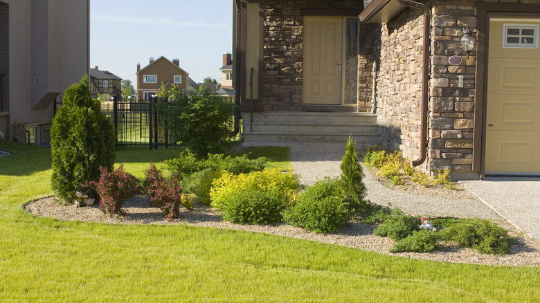 Clean landscaping in the front yard