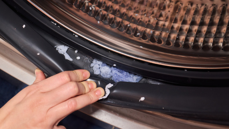 Person inspecting the seal of a washing machine