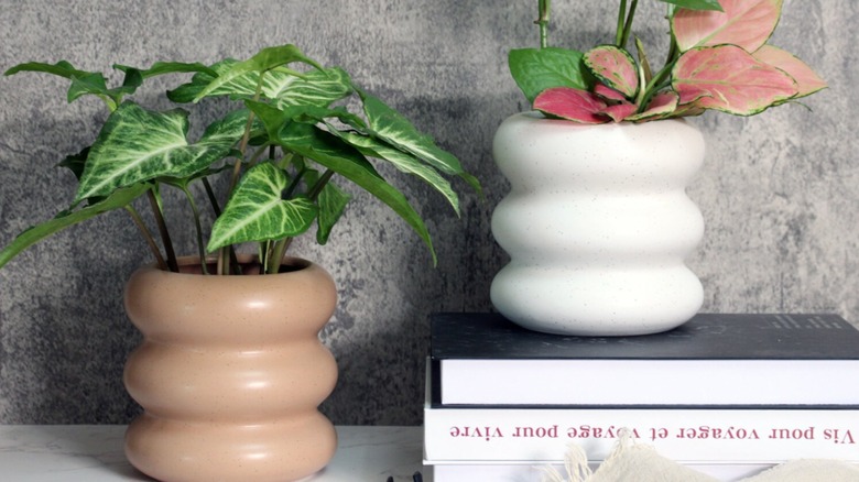 bubble ring planters with plants