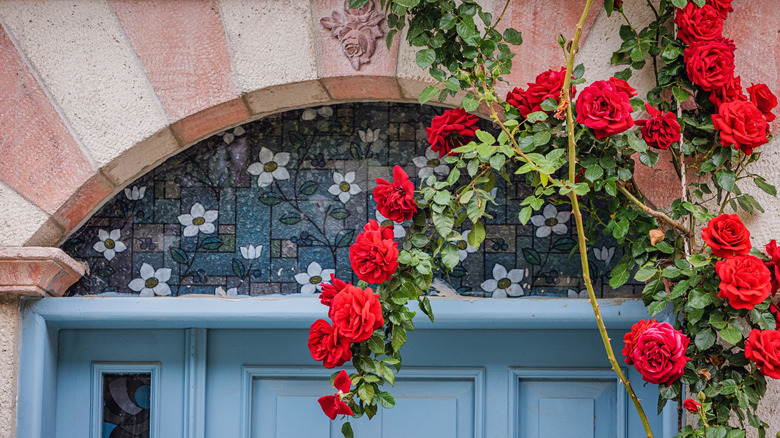soft stained glass pattern above a front door using pastel colors and simple white flowers