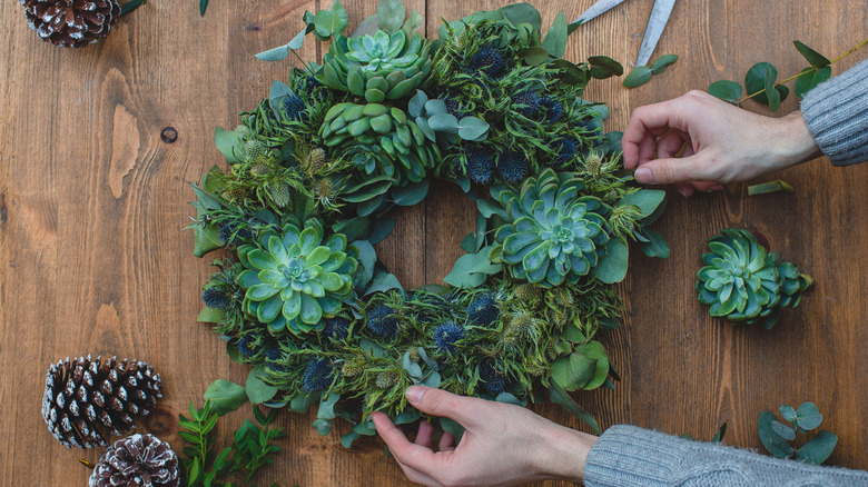 Person making succulent wreath