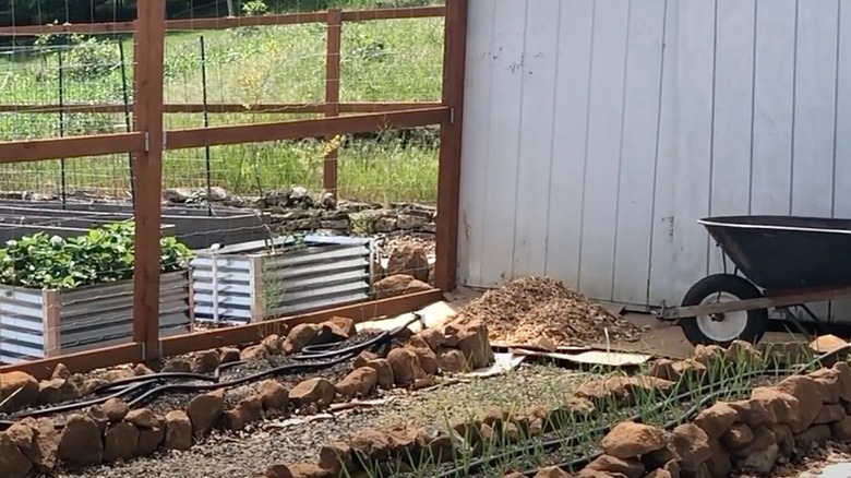 A garden path with a cardboard base and wood chips laid over it