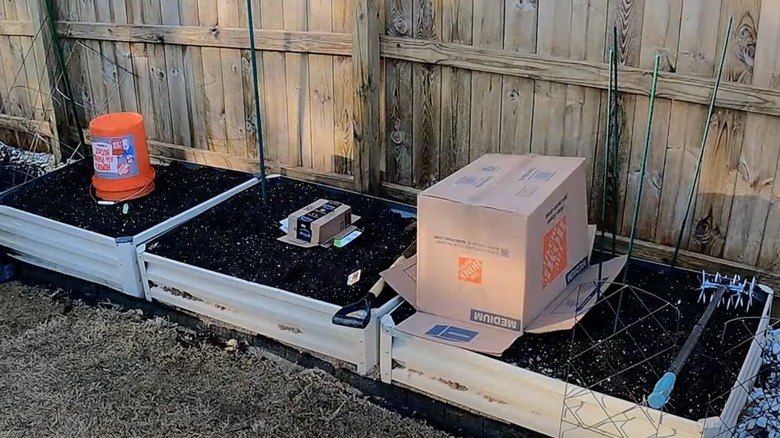One large and one small box covering plants in a raised bed
