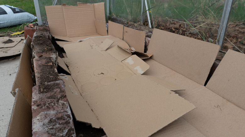 Broken-down cardboard boxes lining the bottom of a raised bed