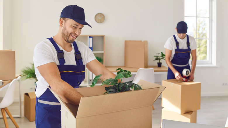 A mover takes a large green plant out of a cardboard box