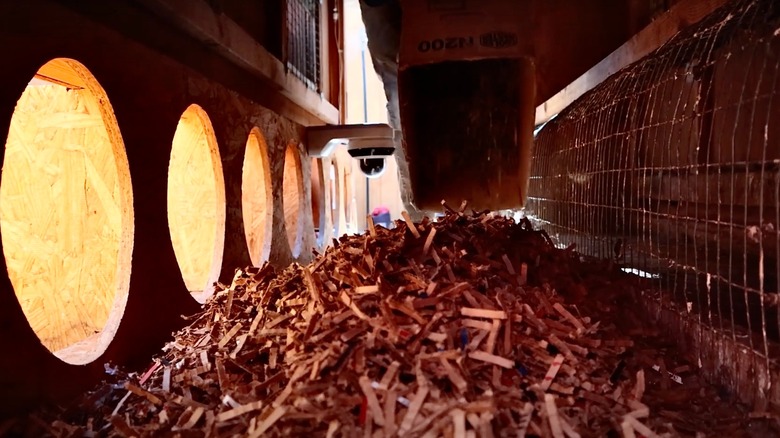 The inside of a chicken coop with fresh shredded cardboard bedding