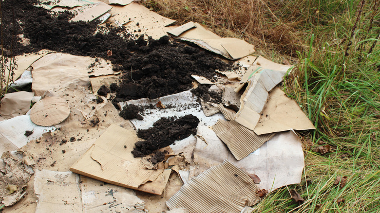 Layers of cardboard over a grassy field with loose black soil on top