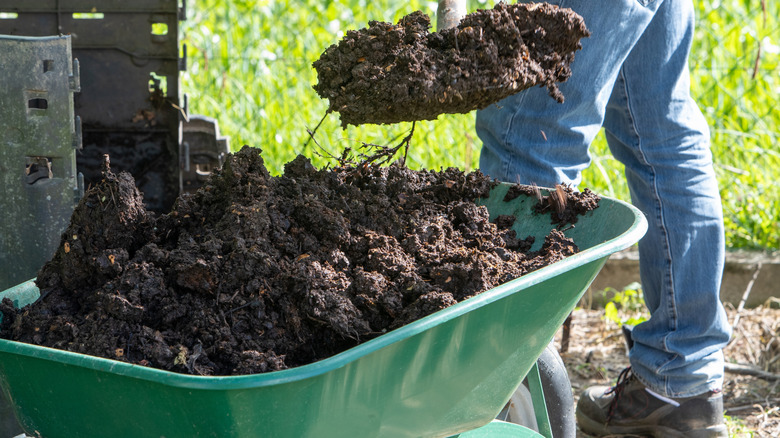 gardener shoveling compost