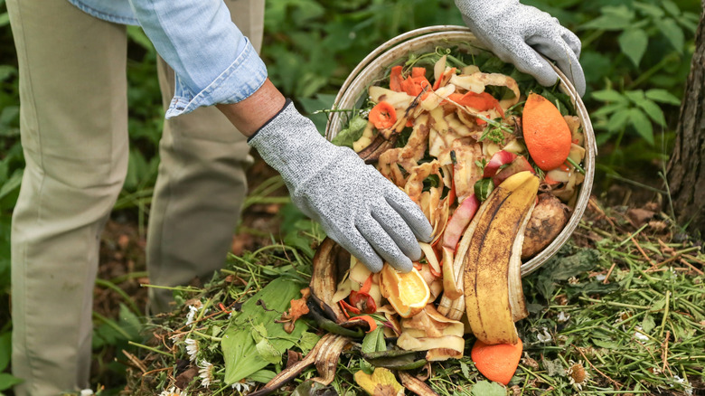 gardener adding to their compost pile