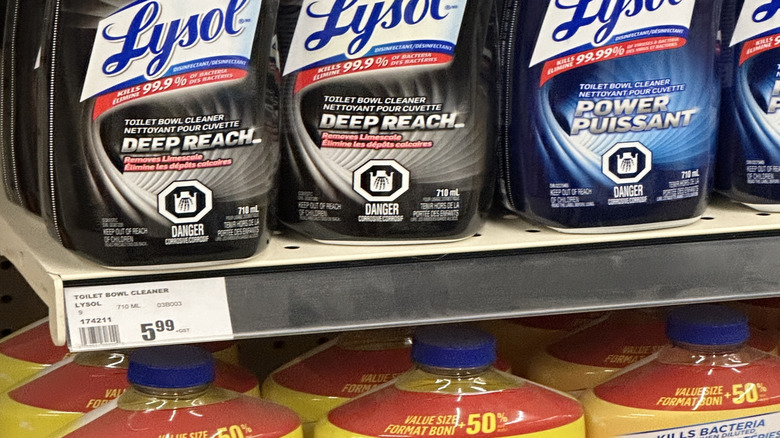 A row of toilet bowl cleaners