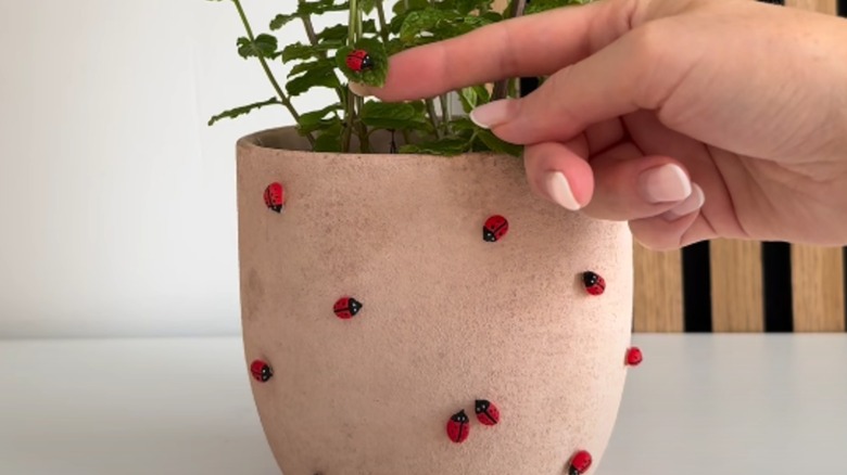 Finger holding a leaf with a decorative ladybug on it