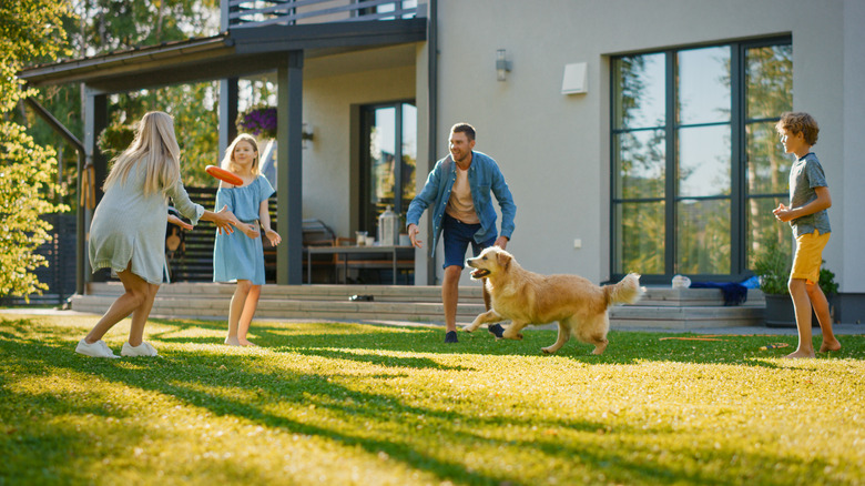 family playing in the backyard