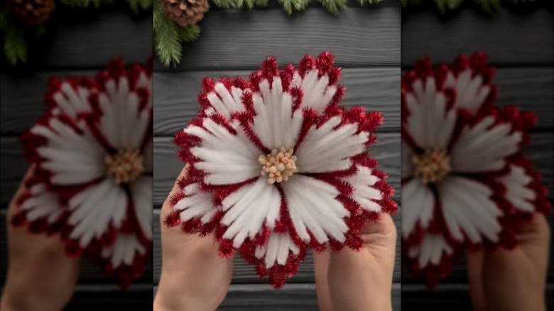 A red and white poinsettia blossom is made from pipe cleaners.