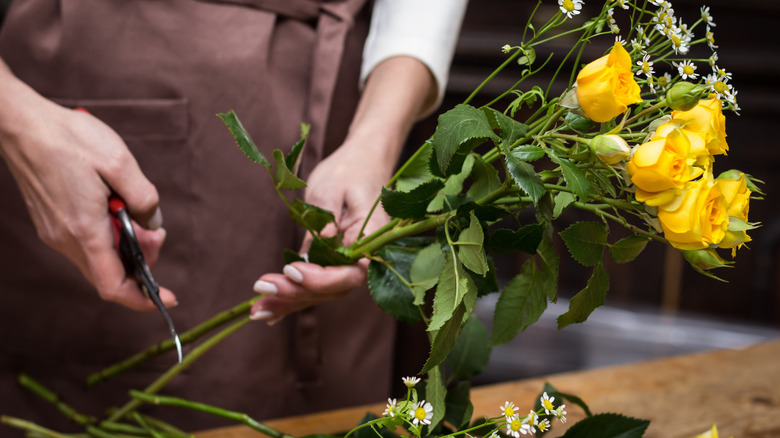 person cutting fresh flower stems