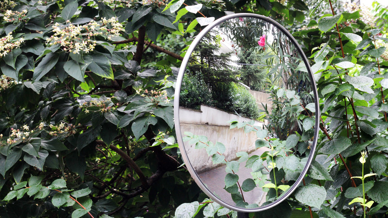 round mirror
