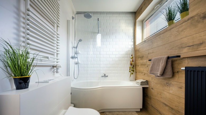 smaller bathroom 