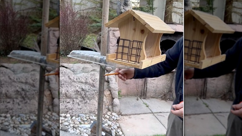Plastic lid acting as a baffle on bird house feeder pole