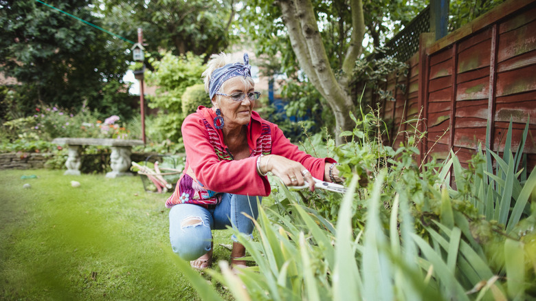 Woman using garden sheers to tend to her garden
