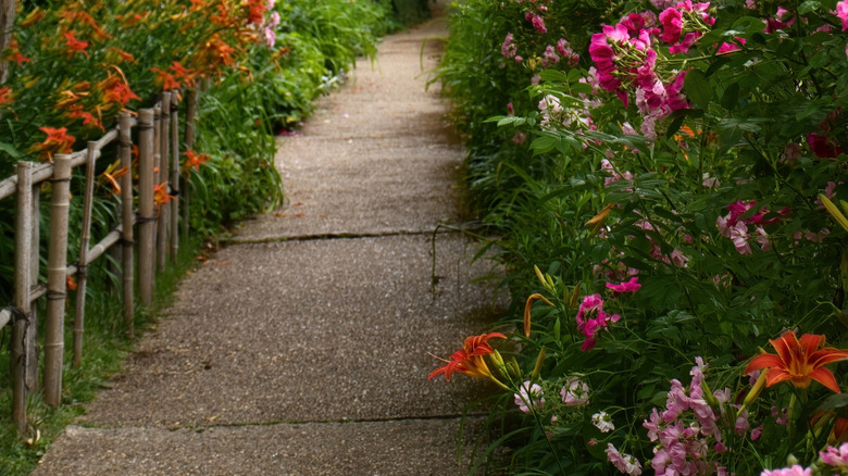Garden path with orange and pink flowers in Monet's garden