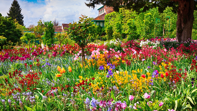 Monet's garden in France filled with vivid flowers and a house in the background