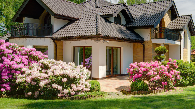 Make Your Garden Patio Look Expensive With An Affordable Planting Solution