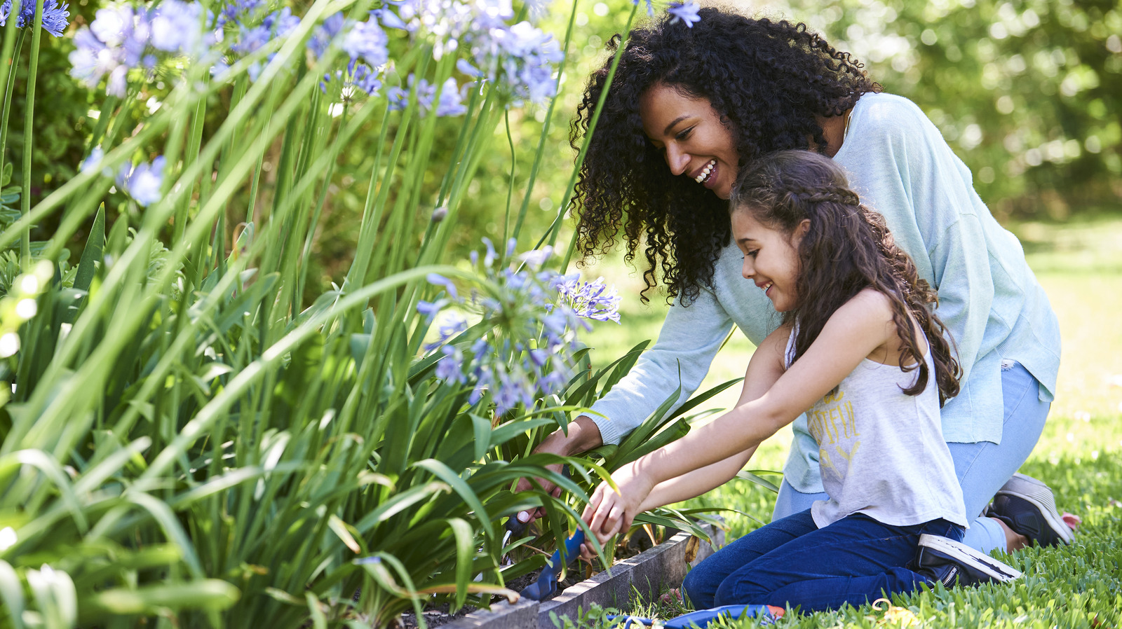 Make Your Garden Pop With This Long-Lasting, Vibrant Flowering Plant