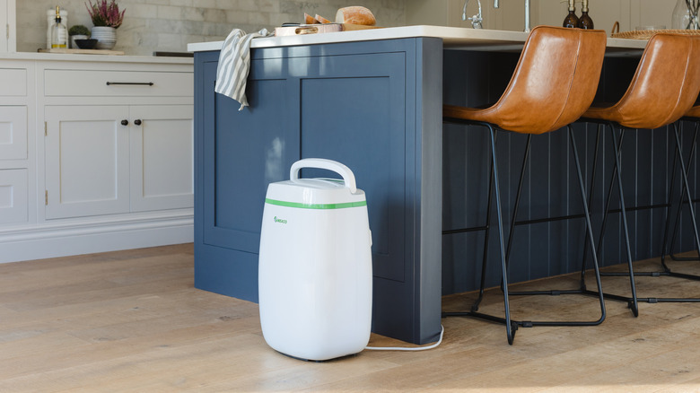 a dehumidifier in a kitchen