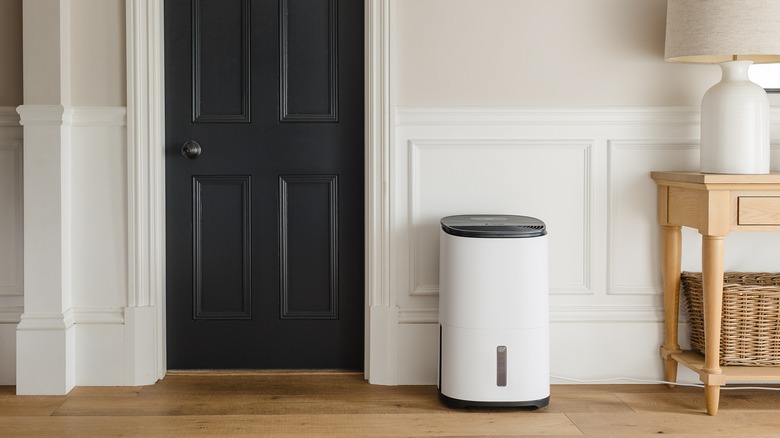 Stylish dehumidifier and air purifier in home hallway