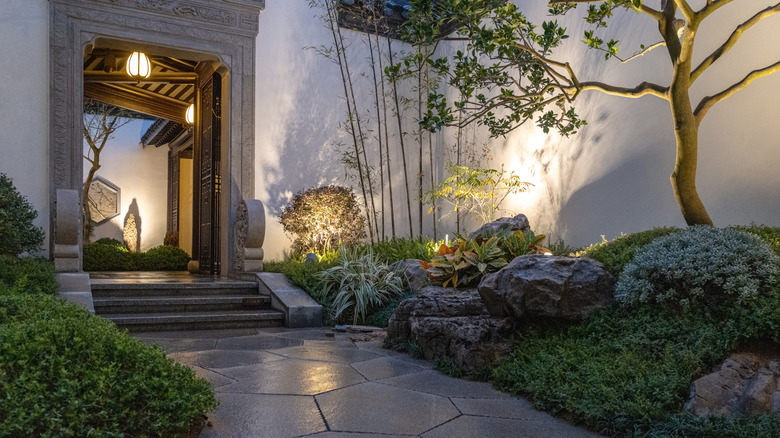 Uplighting highlights unique plants surrounding a stone walkway