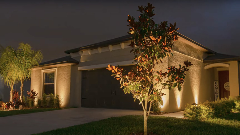 Uplighting highlights a variety of plants and the walkway of a stucco home