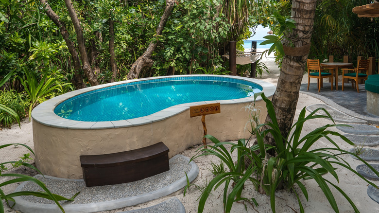 An attractive garden with a plunge pool