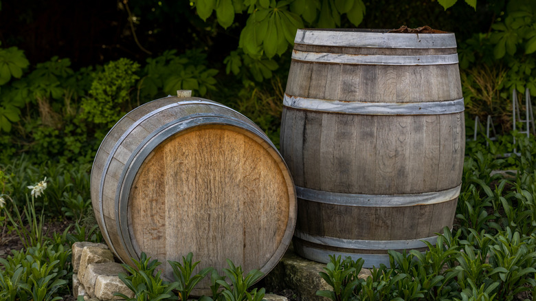 Two old wine barrels in a garden.