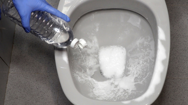 Gloved hand cleaning toilet with white vinegar.