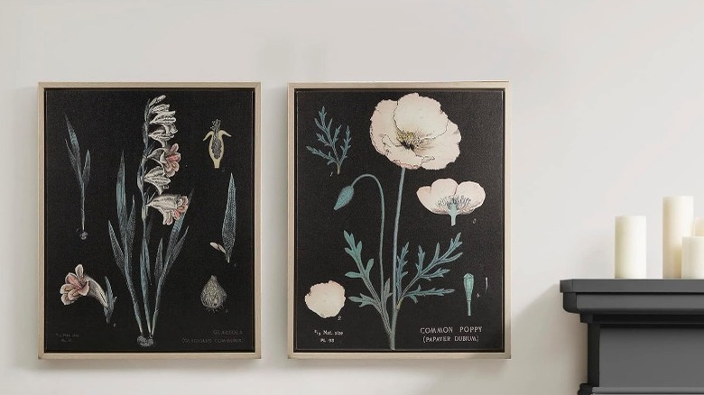 Set di arte floreale da parete