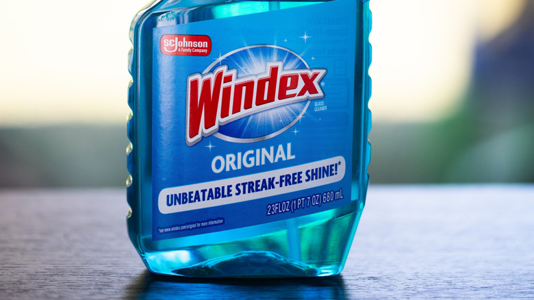 A close-up shot of a bottle of Windex.