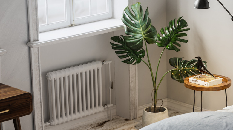 A leafy monstera plant next to a vintage radiator.