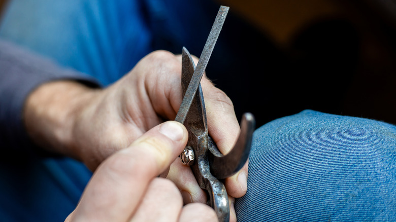 A close up of someone's hands as they sharpen a garden pruning tool.