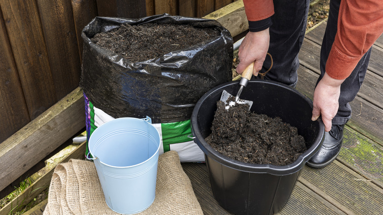 Gardener using Trowel to Transfer compost from Bag to Black Plastic Bucket