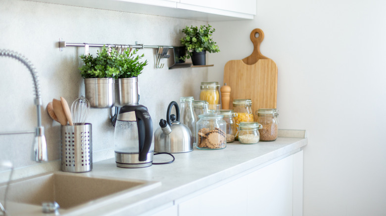 Kitchen countertop with various utensils, food ingredients, and plants.