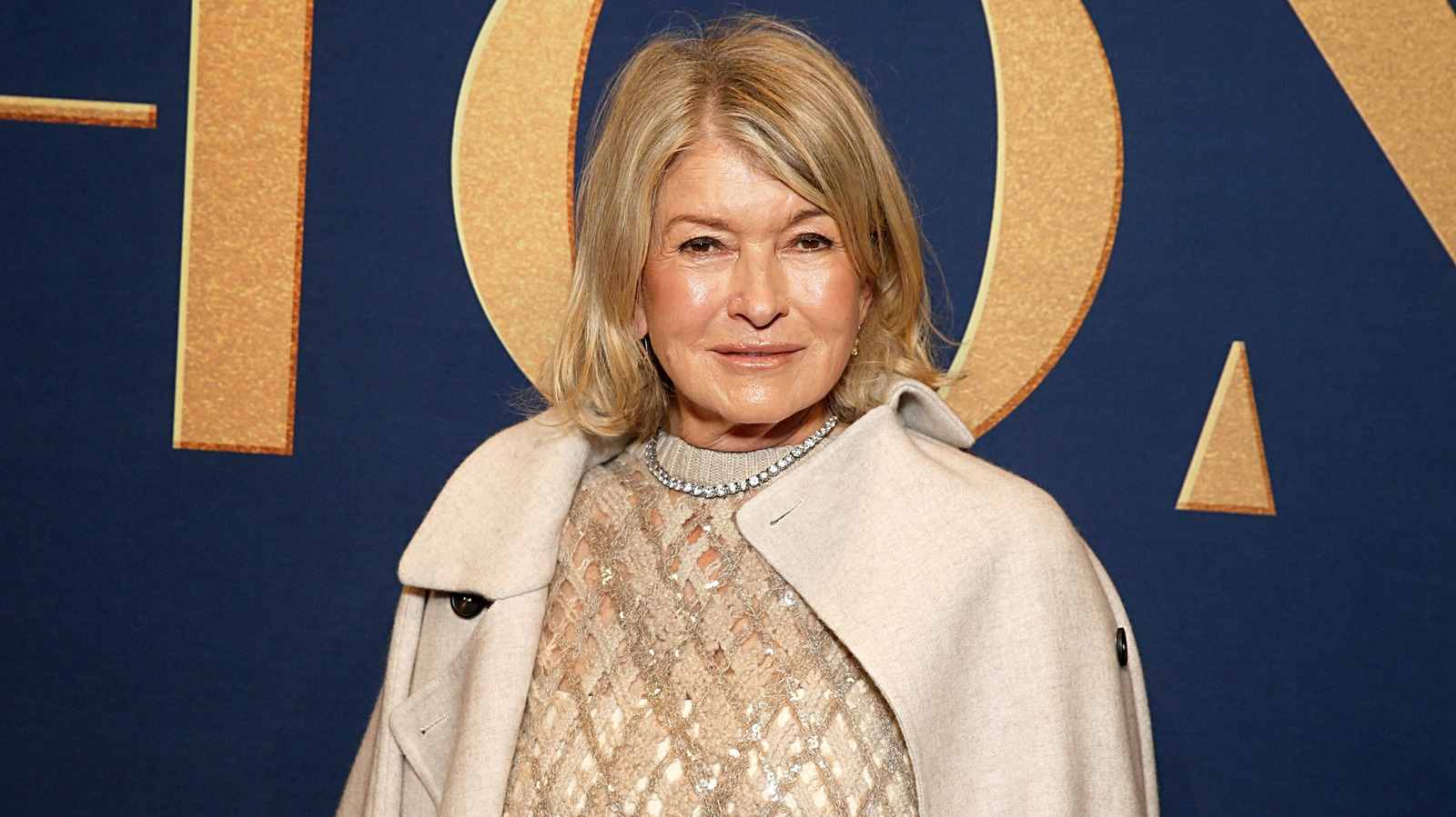 Martha Stewart’s Expert’s Recommendations For A Streamlined Home Renovation