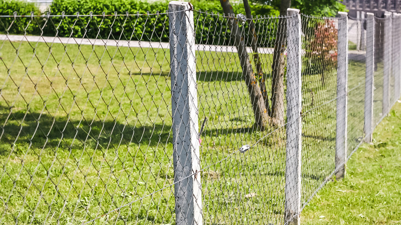chain link fence in yard