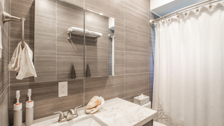 Bathroom with mirrored medicine cabinet