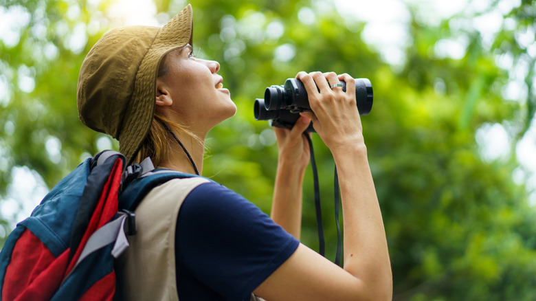 A birdwatcher with a backback outdoors using her binoculars