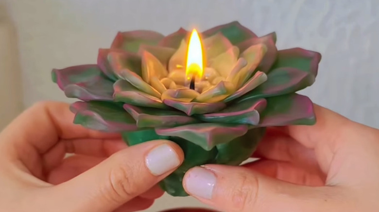 Hands holding a lit succulent candle over a plastic flower pot