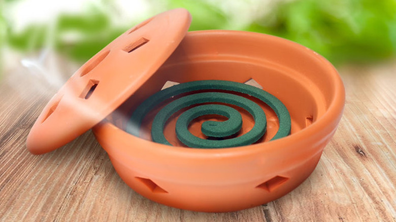 One of PIC's repellent coils burning in its terracotta burner