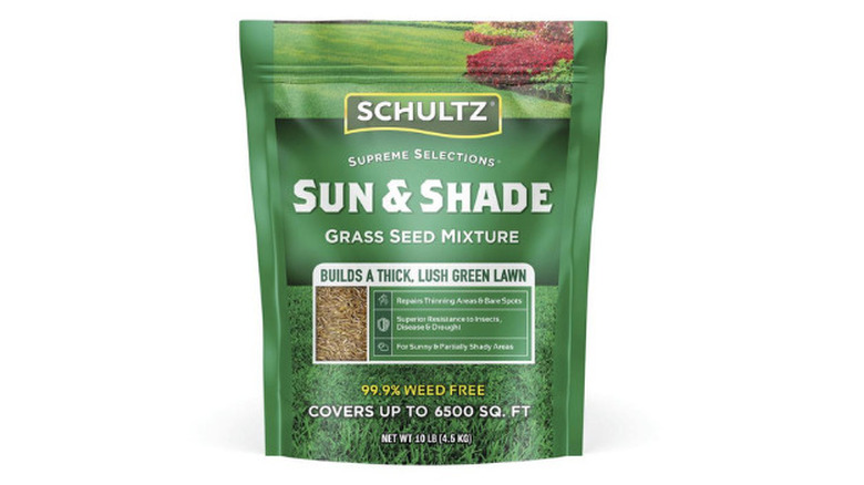 Schultz' Sun & Shade Mix Grass Seed