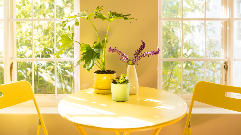 A yellow table and folding chairs in a bright room with plants and purple flowers on it.