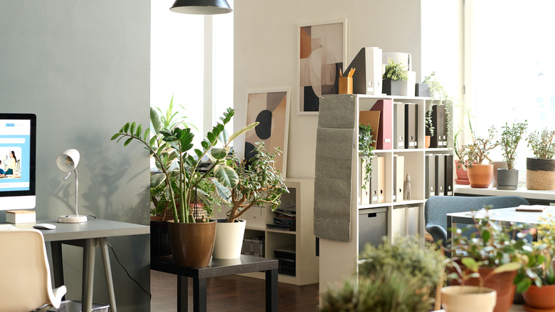 Apartment with plants on tables and furniture, open bookshelf