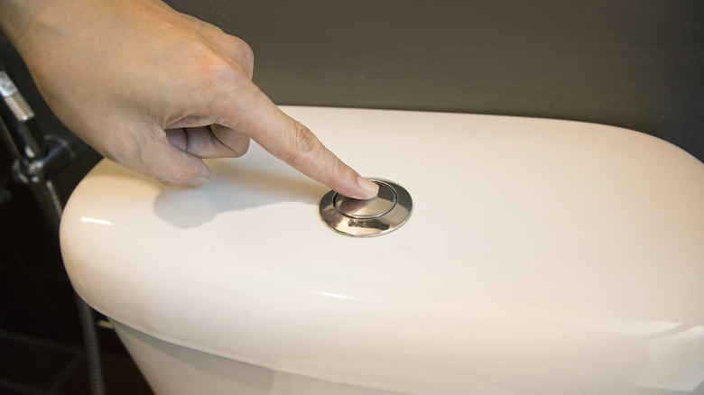 Flushing a dual flush toliet